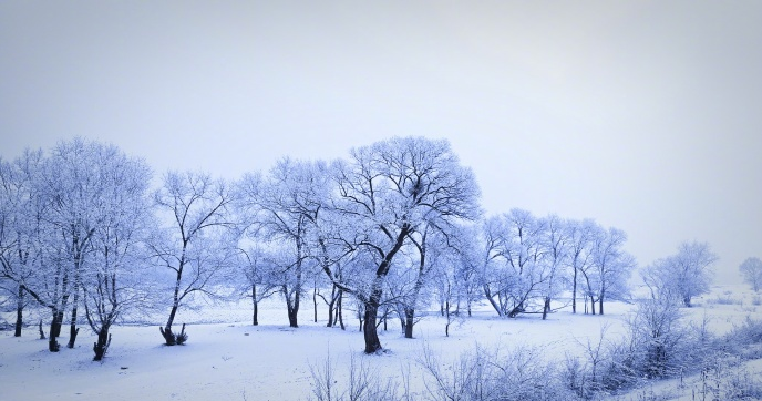 一场春雪让国家级风景名胜区扎兰屯展现出洁白的妩媚